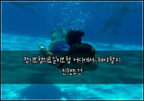 정기보험의료실비보험 어디에서 해야할지 진행조건