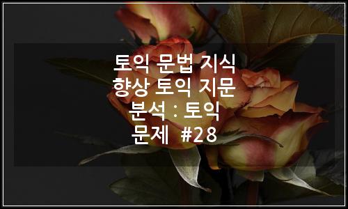 오늘의 이미지