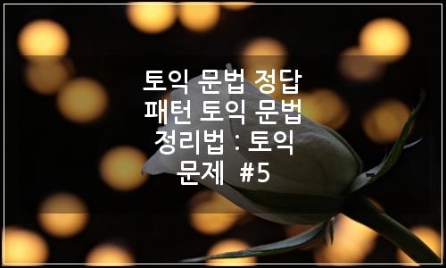 오늘의 이미지