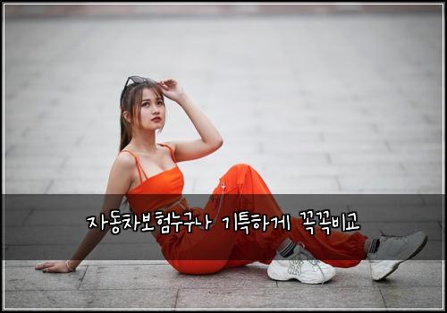 ์๋์ฐจ๋ณดํ๋๊ตฌ๋ ๊ธฐํนํ๊ฒ ๊ผญ๊ผญ๋น๊ต
