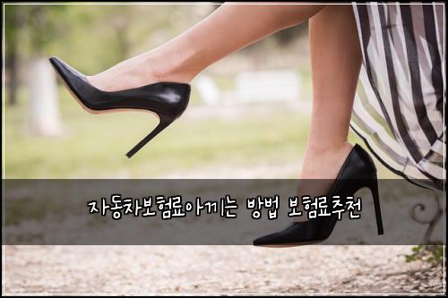 자동차보험료아끼는 방법 보험료추천