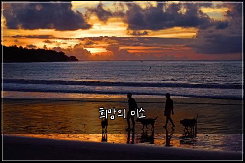 희망의 미소