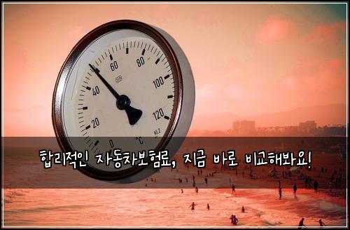 합리적인 자동차보험료, 지금 바로 비교해봐요!