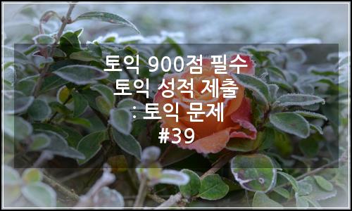오늘의 이미지