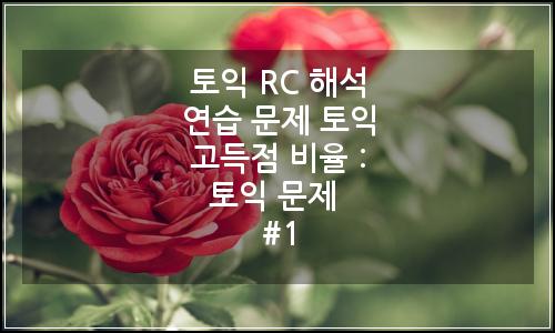 오늘의 이미지