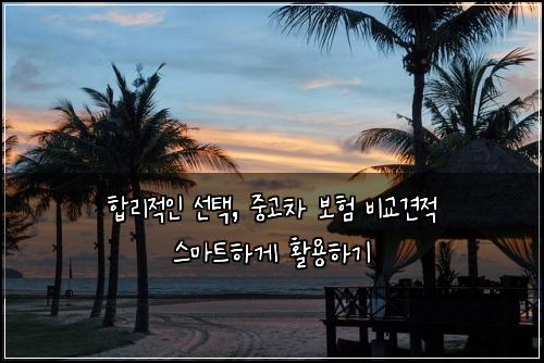  합리적인 선택, 중고차 보험 비교견적 스마트하게 활용하기