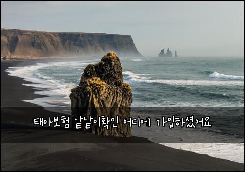 ํ์๋ณดํ ๋ฑ๋ฑ์ดํ์ธ ์ด๋์ ๊ฐ์
ํ์
จ์ด์