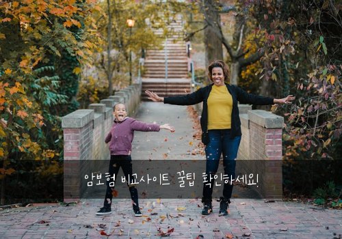 암보험 비교사이트 꿀팁 확인하세요!