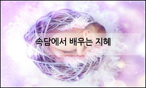 오늘의 이미지