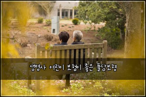 생명사 어린이 보험이 좋은 풀담보형