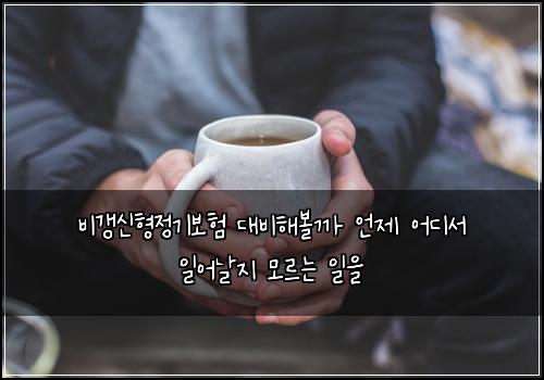비갱신형정기보험 대비해볼까  언제 어디서 일어날지 모르는 일을