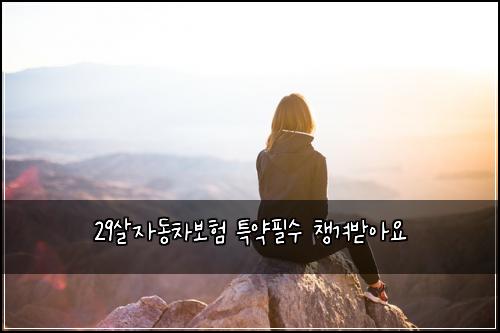29살자동차보험 특약필수  챙겨받아요