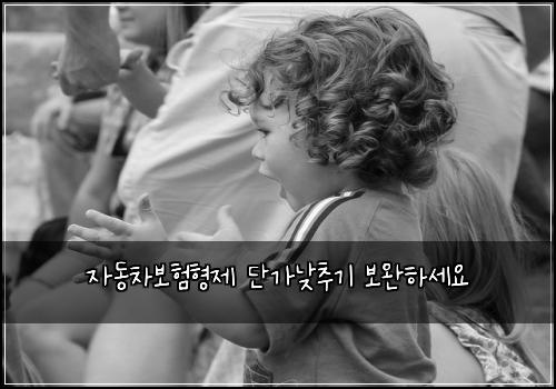 자동차보험형제 단가낮추기 보완하세요