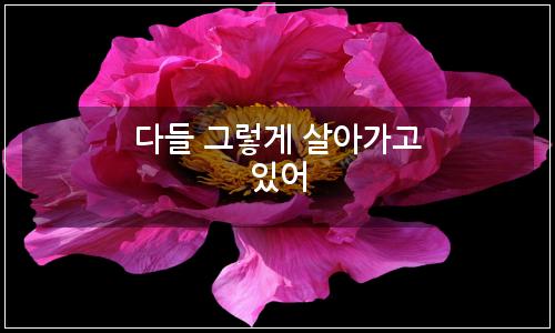 오늘의 이미지