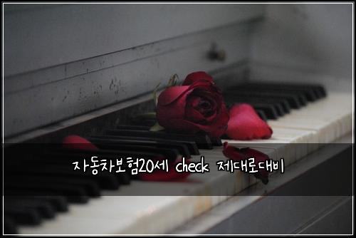 자동차보험20세 check 제대로대비