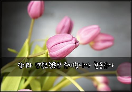 정기과 변액보험종신 존재합니까 활용한다