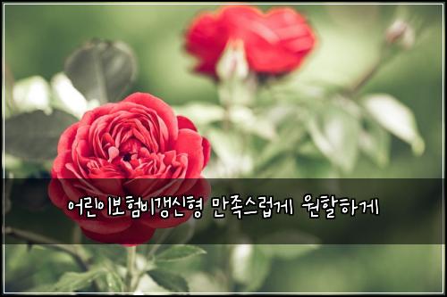 어린이보험비갱신형 만족스럽게 원할하게