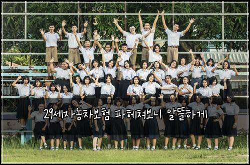 29세자동차보험 파헤쳐보니  알뜰하게