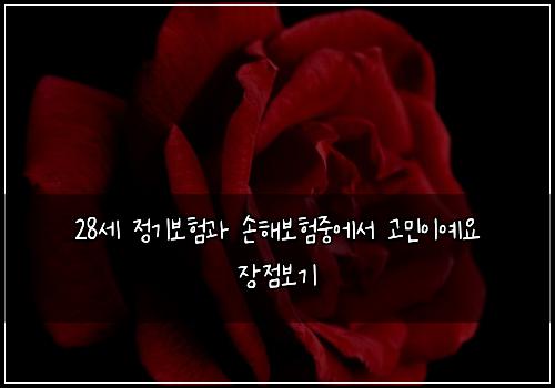 28์ธ ์ ๊ธฐ๋ณดํ๊ณผ ์ํด๋ณดํ์ค์์ ๊ณ ๋ฏผ์ด์์ ์ฅ์ ๋ณด๊ธฐ