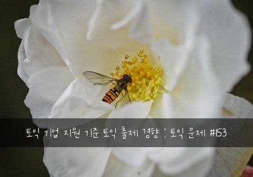 토익 기업 지원 기준 토익 출제 경향 : 토익 문제 #153