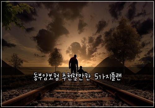 동부암보험 추천할만한  5가지플랜