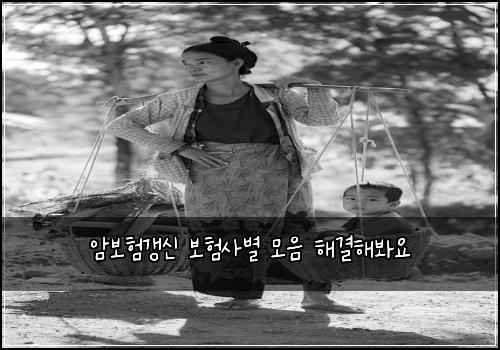 암보험갱신 보험사별 모음 해결해봐요