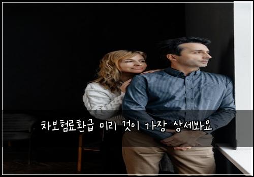 차보험료환급 미리 것이 가장 상세봐요