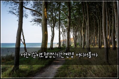 어린이실비보험갱신기간변경 어디서볼까
