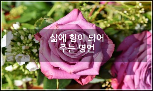 오늘의 이미지
