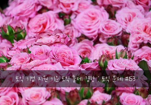 토익 기업 지원 기준 토익 출제 경향 : 토익 문제 #153