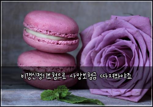 비갱신정기보험으로 사망보험금 따져봐야죠