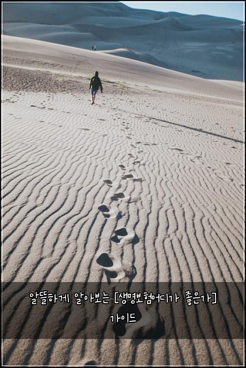 알뜰하게 알아보는 [생명보험어디가 좋은가] 가이드