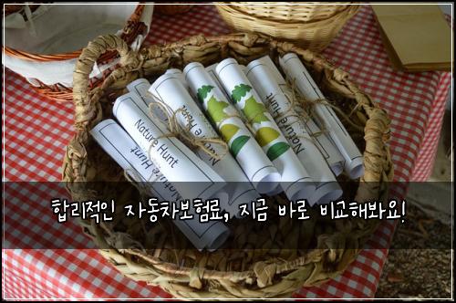 합리적인 자동차보험료, 지금 바로 비교해봐요!