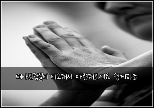 태아보험실비 비교해서 마련해보세요 쉽게하죠