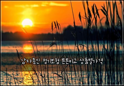 남자종신 정기보험 튼튼비교  상품별가격