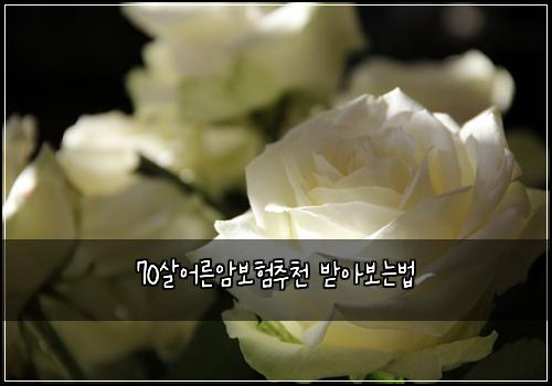70살어른암보험추천 받아보는법