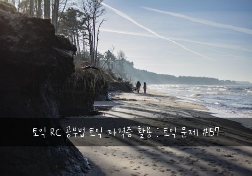 토익 RC 공부법 토익 자격증 활용 : 토익 문제 #157