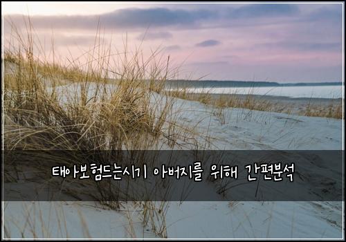 태아보험드는시기 아버지를 위해 간편분석