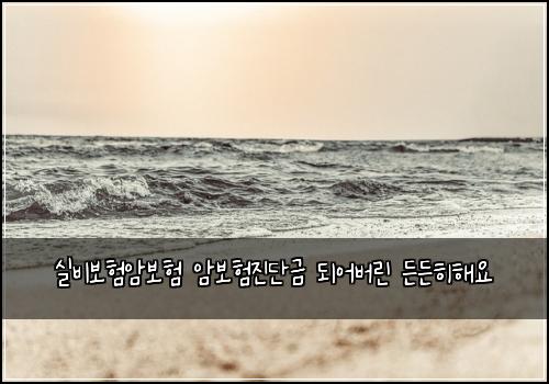 실비보험암보험 암보험진단금 되어버린 든든히해요