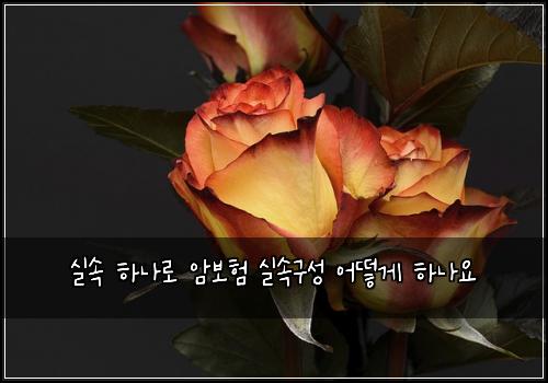 ์ค์ ํ๋๋ก ์๋ณดํ ์ค์๊ตฌ์ฑ ์ด๋ป๊ฒ ํ๋์