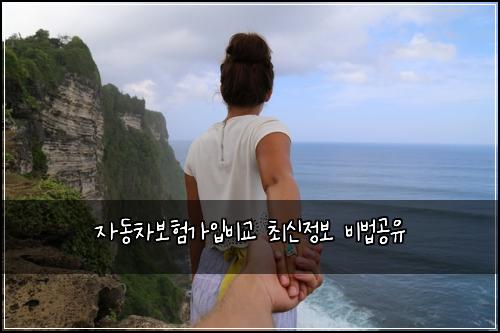 자동차보험가입비교 최신정보 비법공유