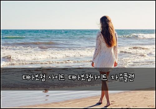 태아보험 사이트 태아보험사이트 자유플랜
