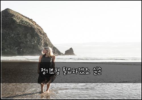 정기보험 필요하겠죠  실손