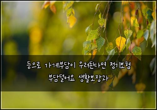 등으로 가계부담이 우려된다면 정기보험 부담덜어요  생활보장과