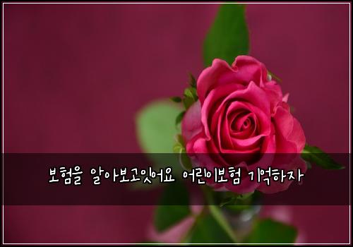보험을 알아보고잇어요 어린이보험 기억하자