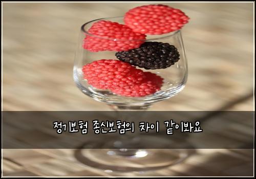정기보험 종신보험의 차이 같이봐요
