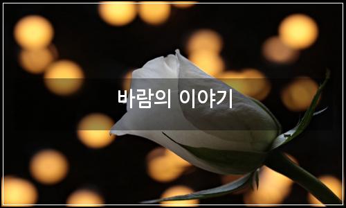 오늘의 이미지