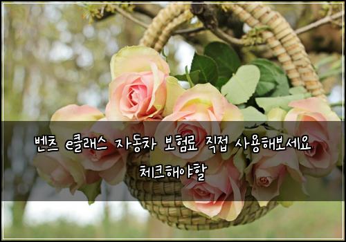 벤츠 e클래스 자동차 보험료 직접 사용해보세요 체크해야할