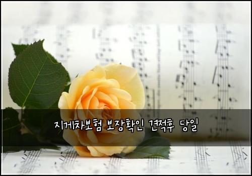 지게차보험 보장확인  견적후 당일