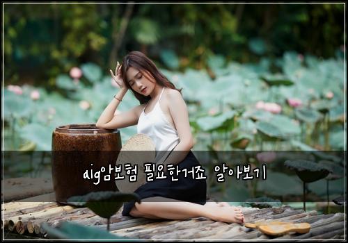 aigμ보ν νμνκ±°μ£ μμ보기